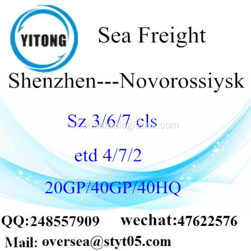Fret de Shenzhen Port maritime Shipping à Novorossiysk